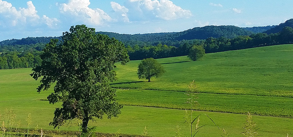 Beautiful Valley of Lush Farmland 2