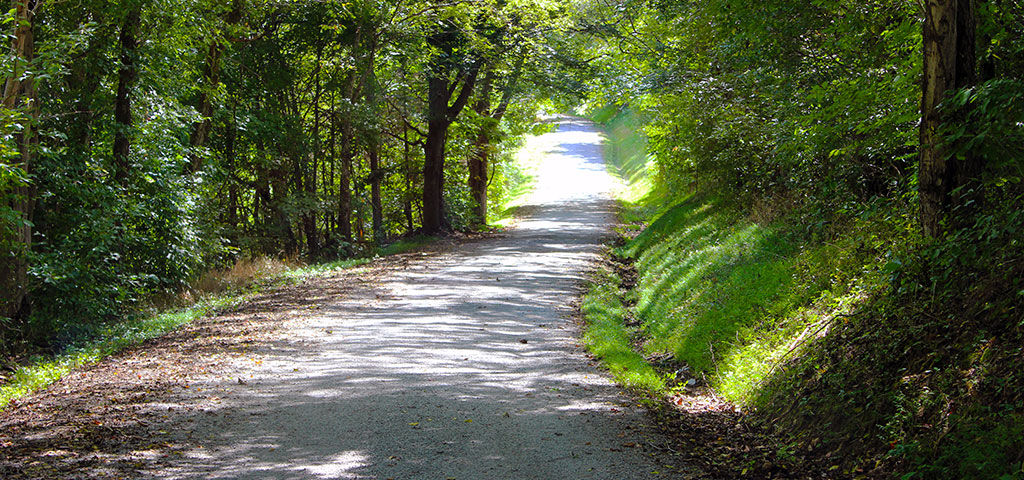 Gnat Grove Road in Tennessee